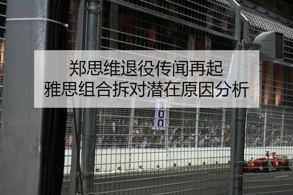 郑思维退役传闻再起 雅思组合拆对潜在原因分析